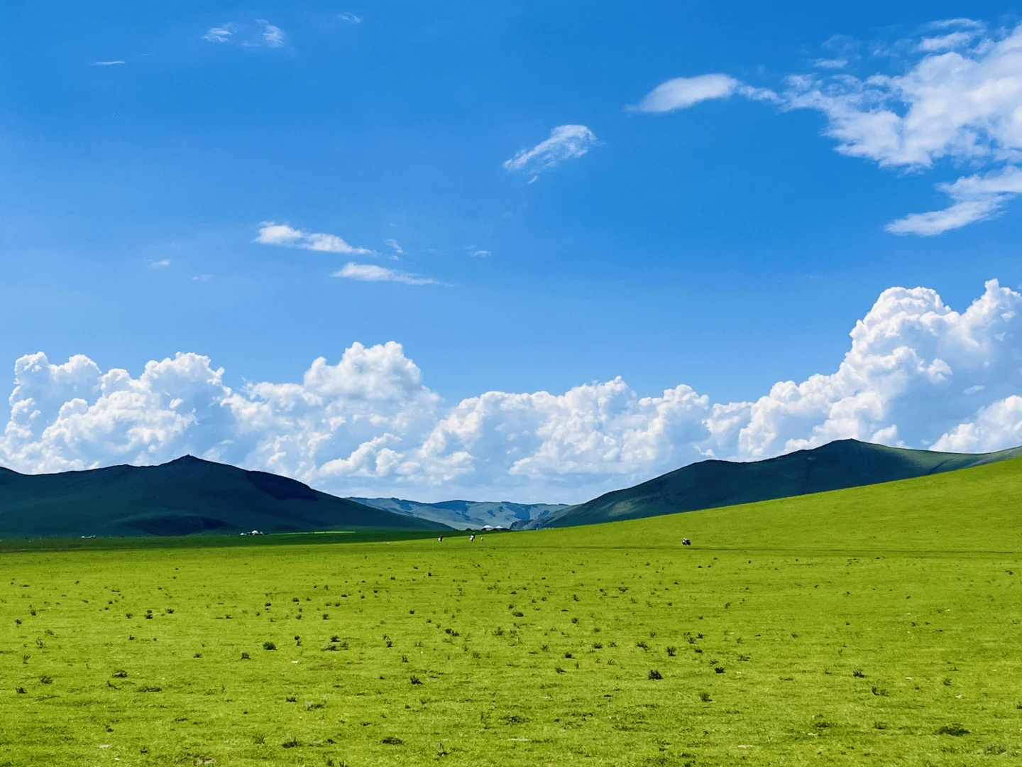 被《国家地理》评为中国最美的公路有多绝‼️