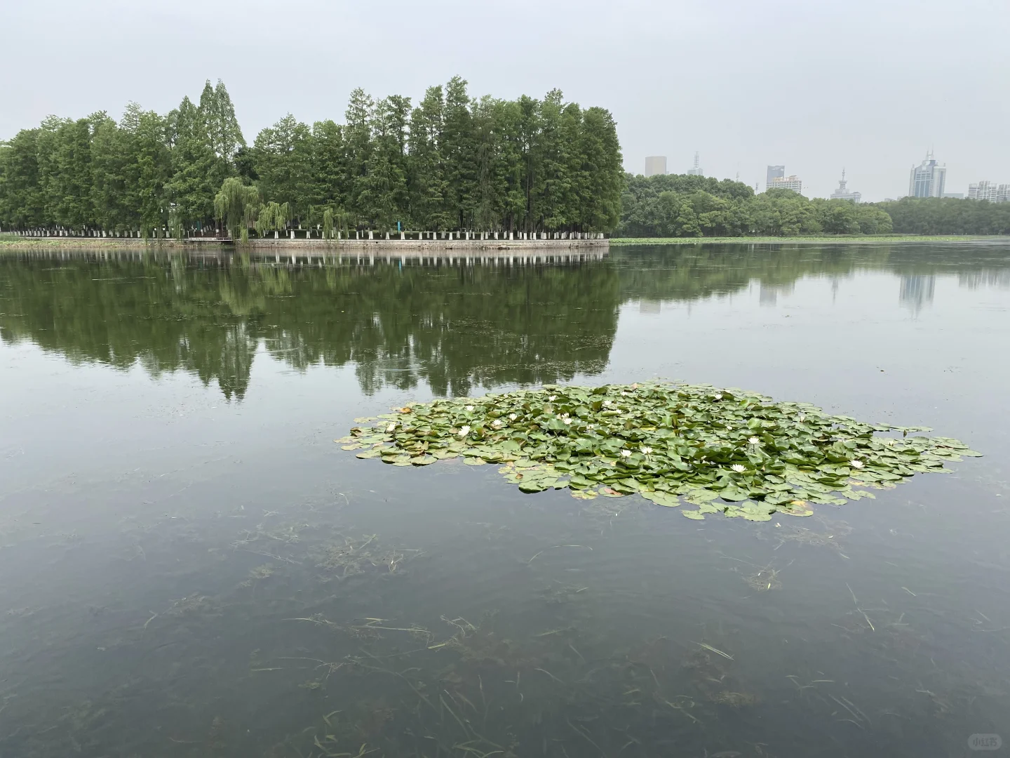半日特种兵游武大-东湖💜