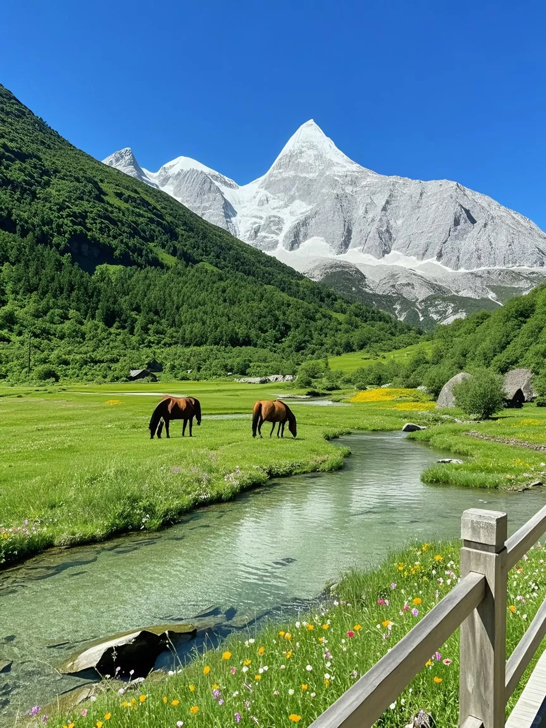 〃接下来的稻城亚丁快要鲨疯了。。。