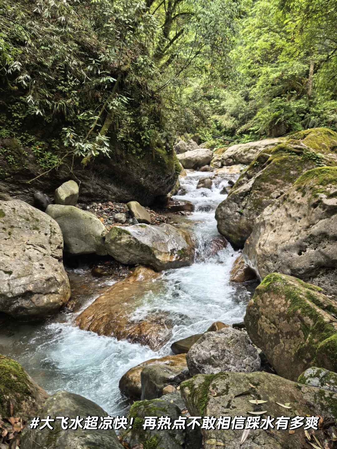溜达日志|大邑大飞水：山野瀑布好清幽