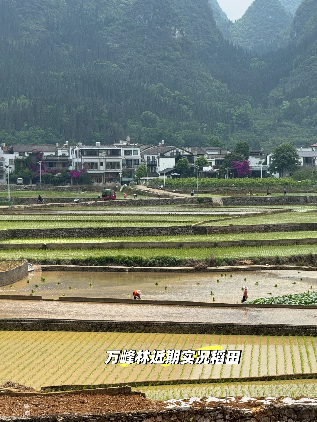 5月～6月淡季去贵州万峰林美食攻略