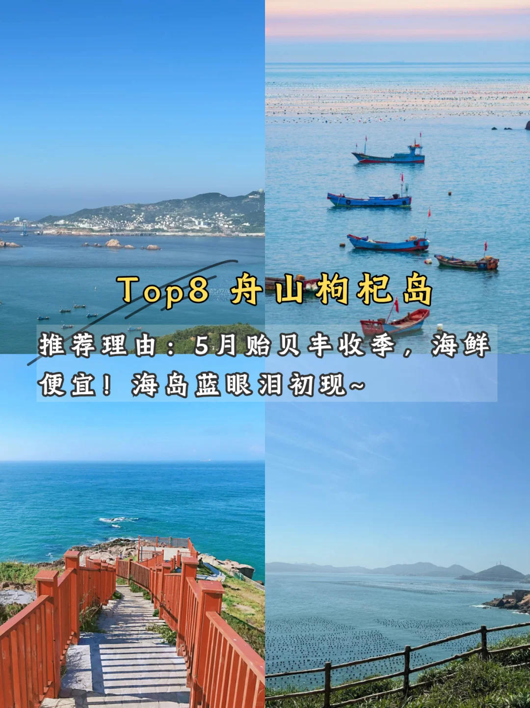 🌿 五月限定美景!学生党也能冲!