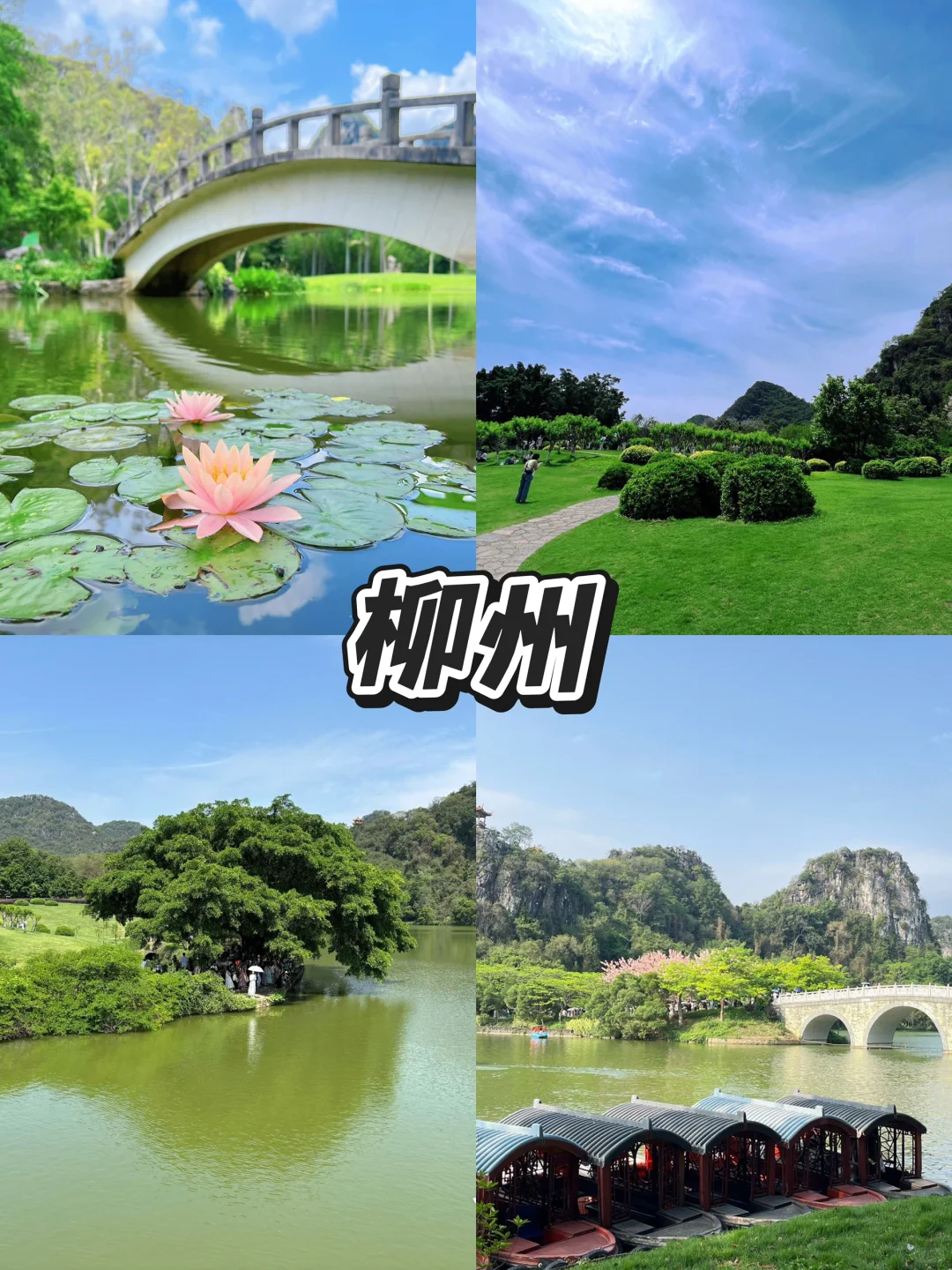 去了，不后悔！