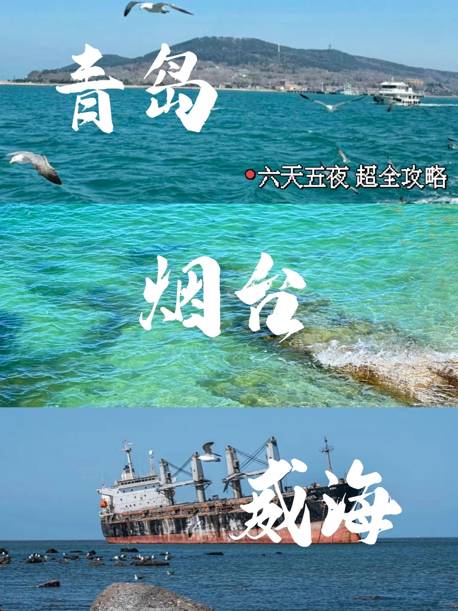 毕业旅行🎓青岛-烟台-威海 6天 人均 800