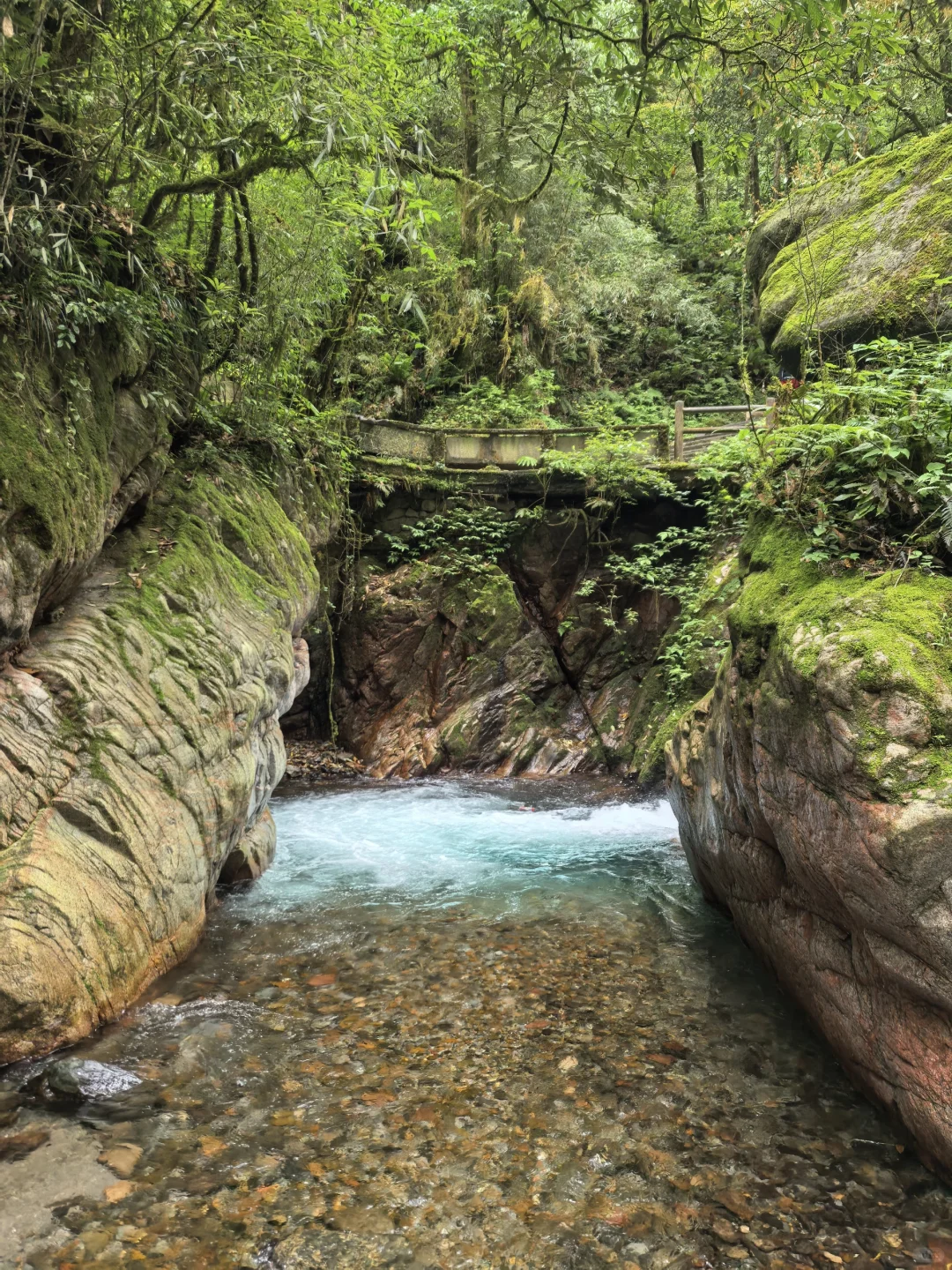 溜达日志|大邑大飞水：山野瀑布好清幽
