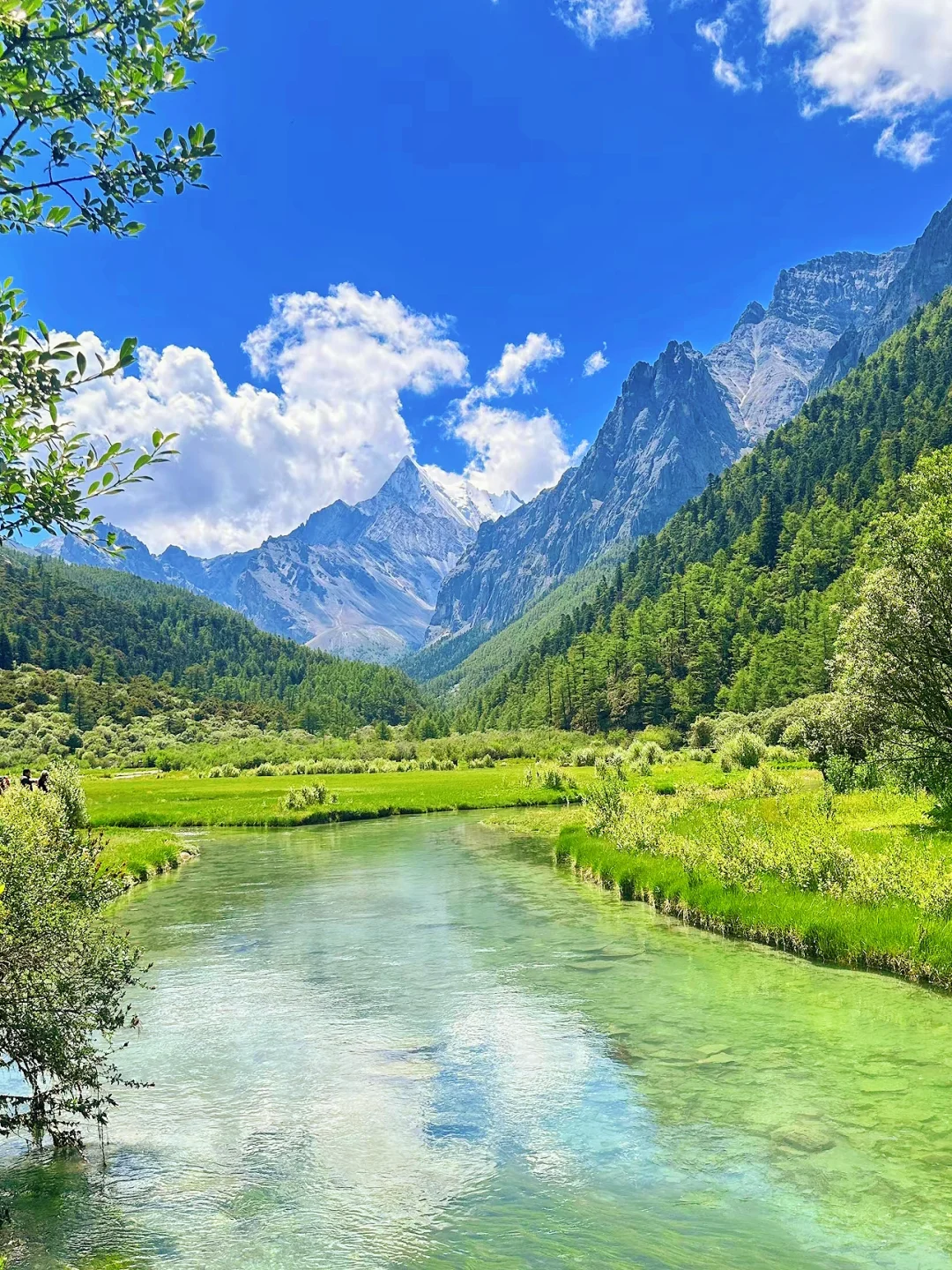 〃接下来的稻城亚丁快要鲨疯了。。。