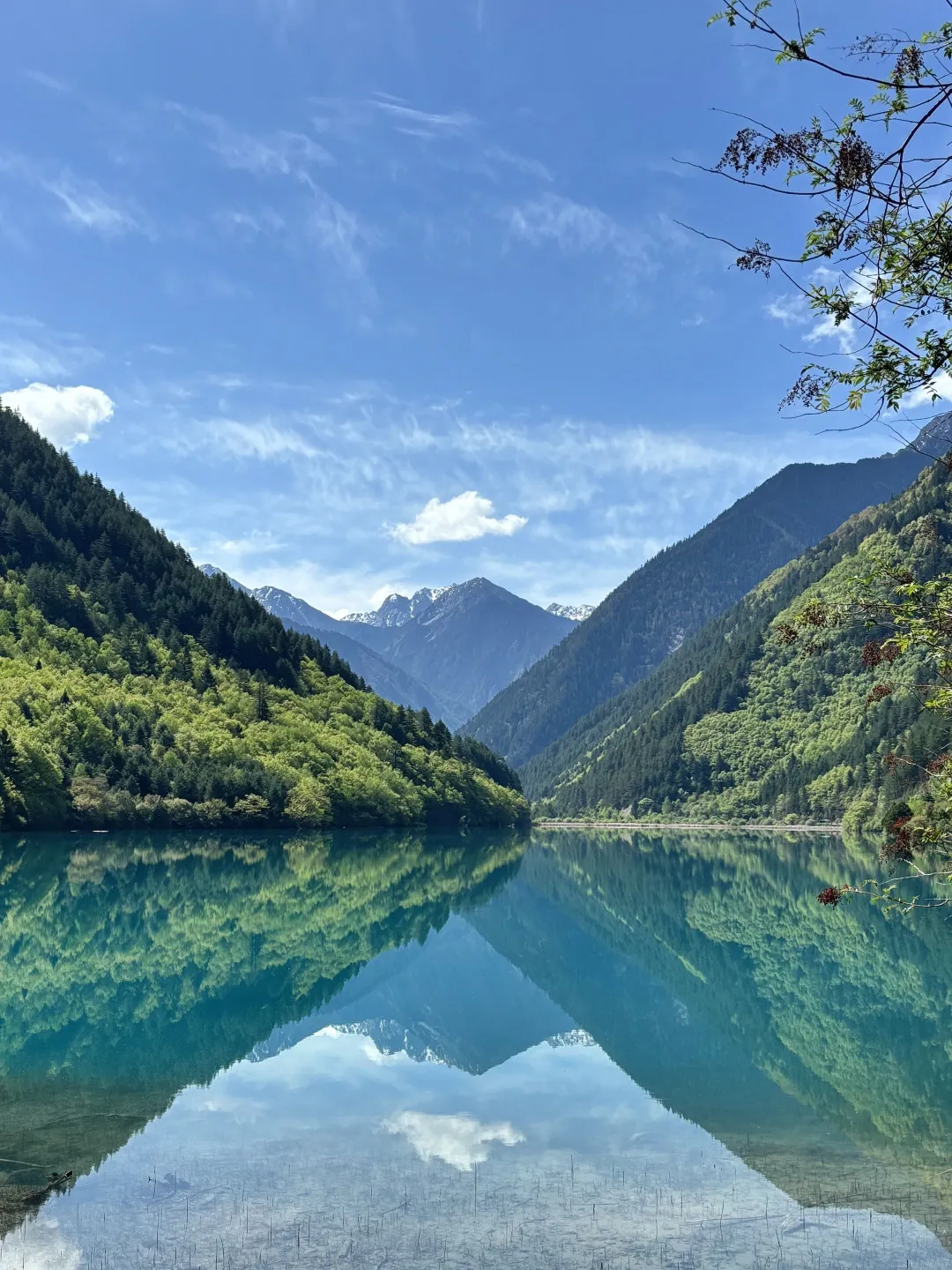 5.5📍九寨沟已回,累吐啦😅我来说点大实话……