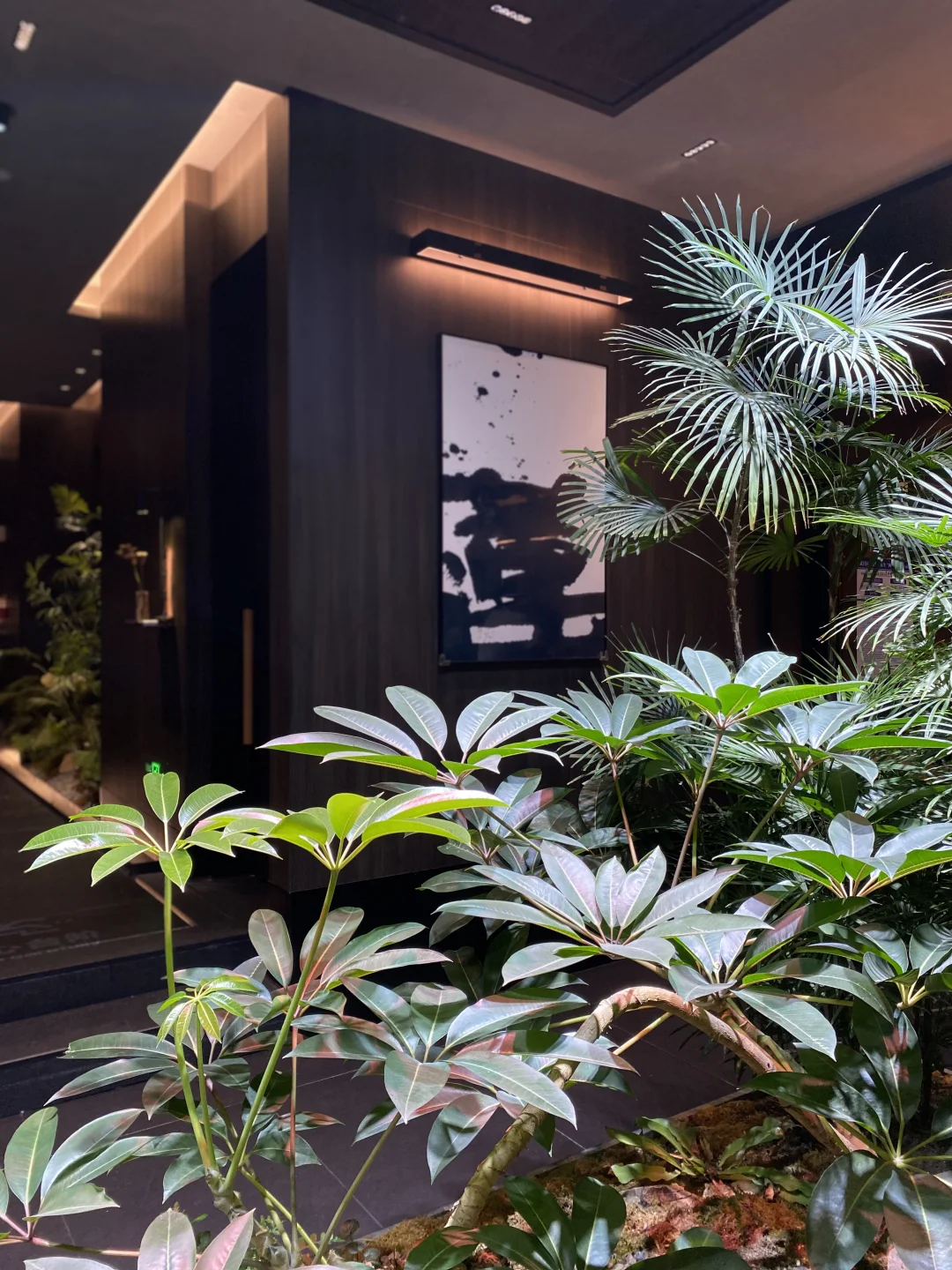 半日特种兵游武大-东湖💜