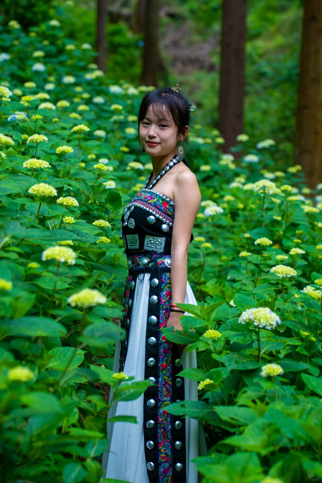 南华山神凤文化景区一日游旅游攻略