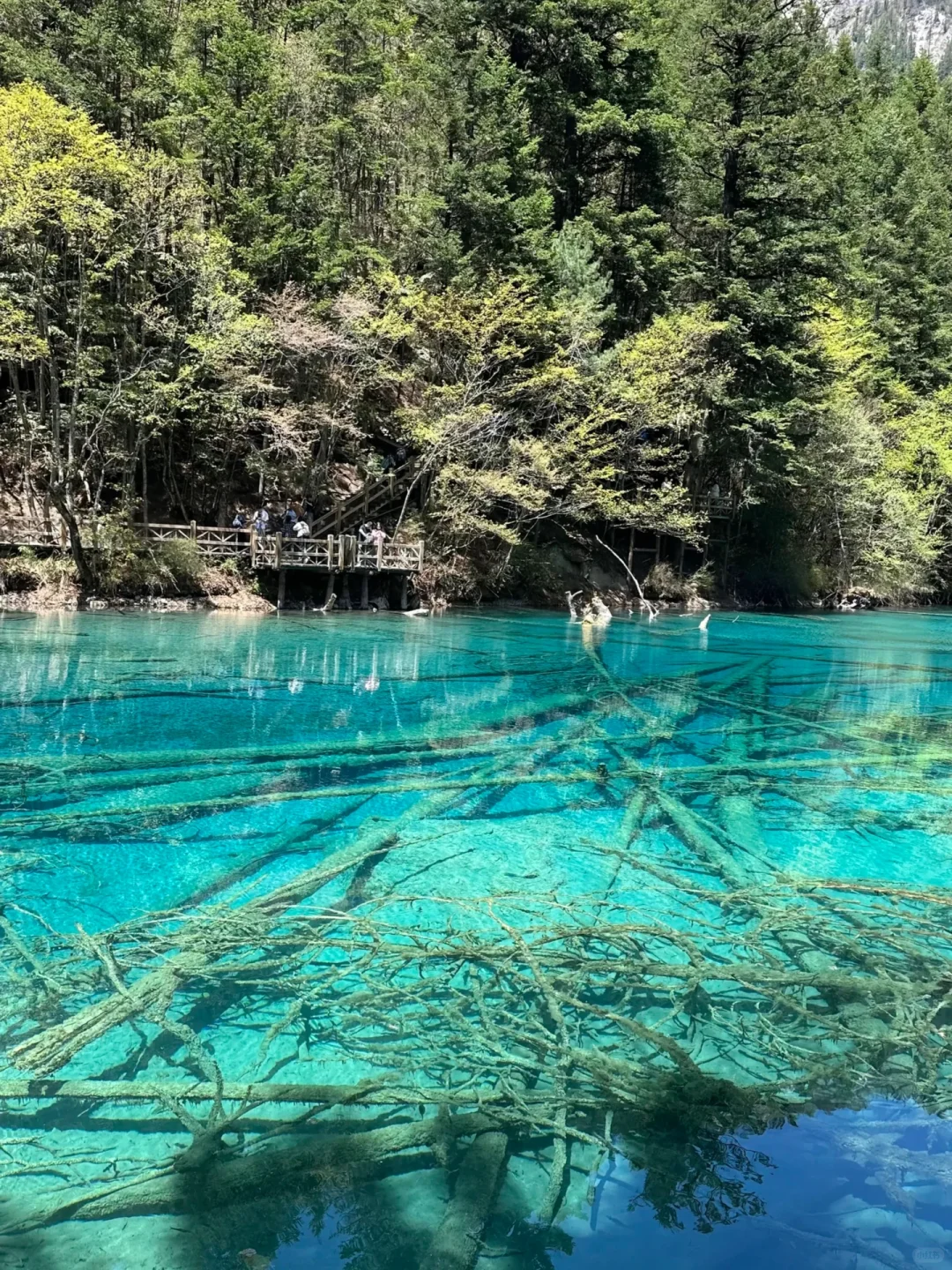 5.5📍九寨沟已回,累吐啦😅我来说点大实话……