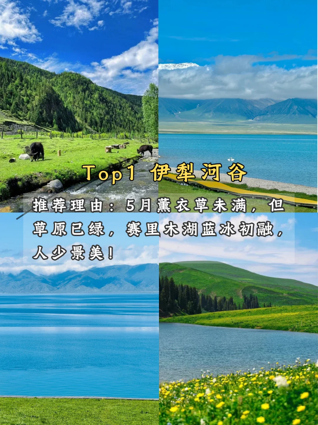🌿 五月限定美景!学生党也能冲!