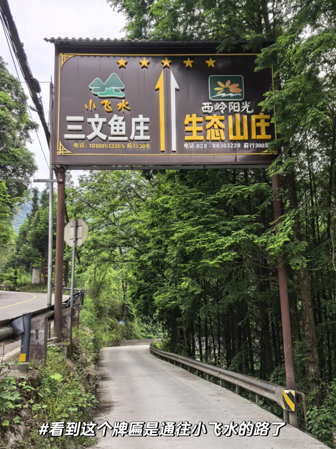 溜达日志|大邑大飞水：山野瀑布好清幽