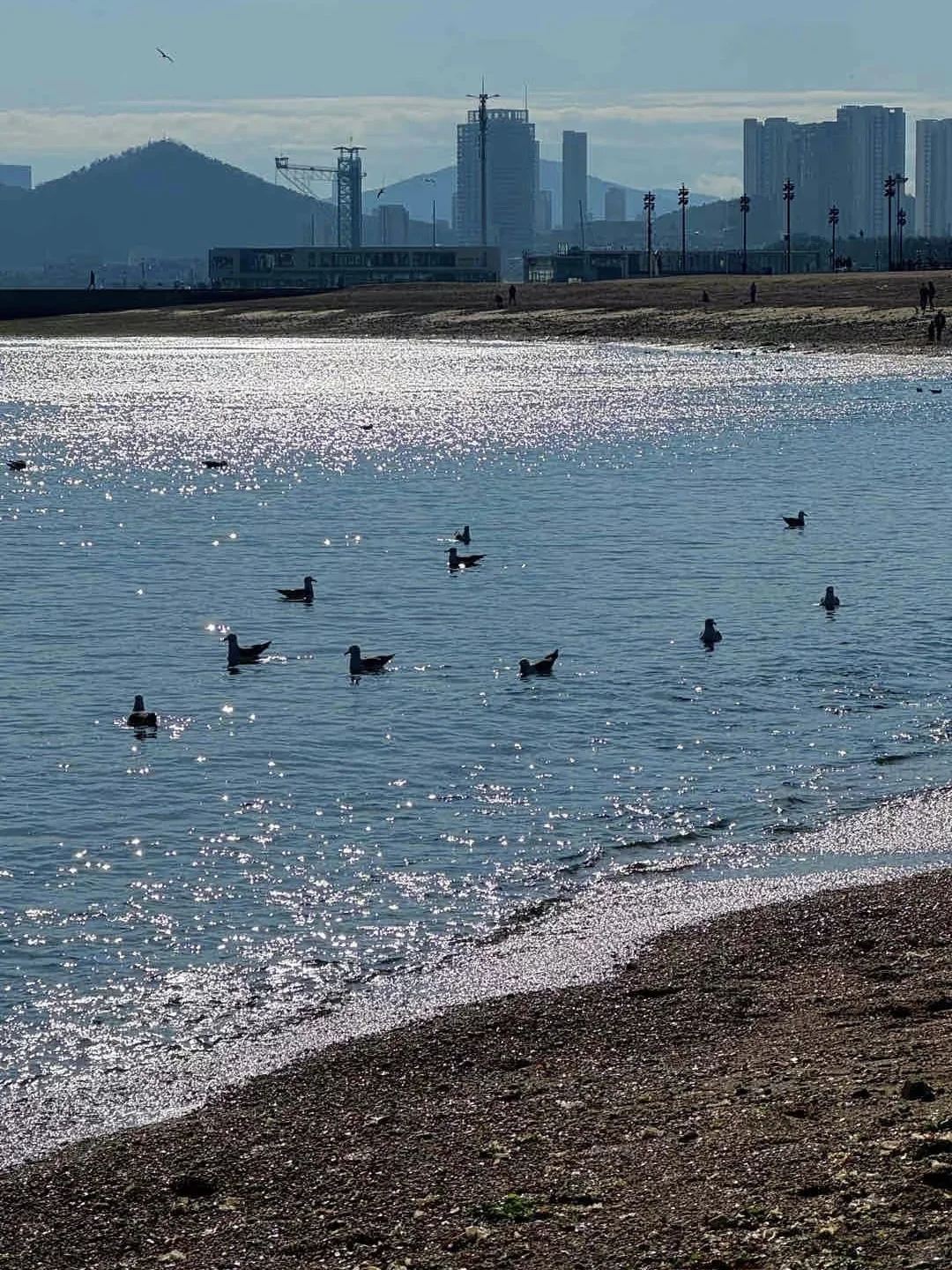 大连，真的会奖励每一个认真做攻略的人！