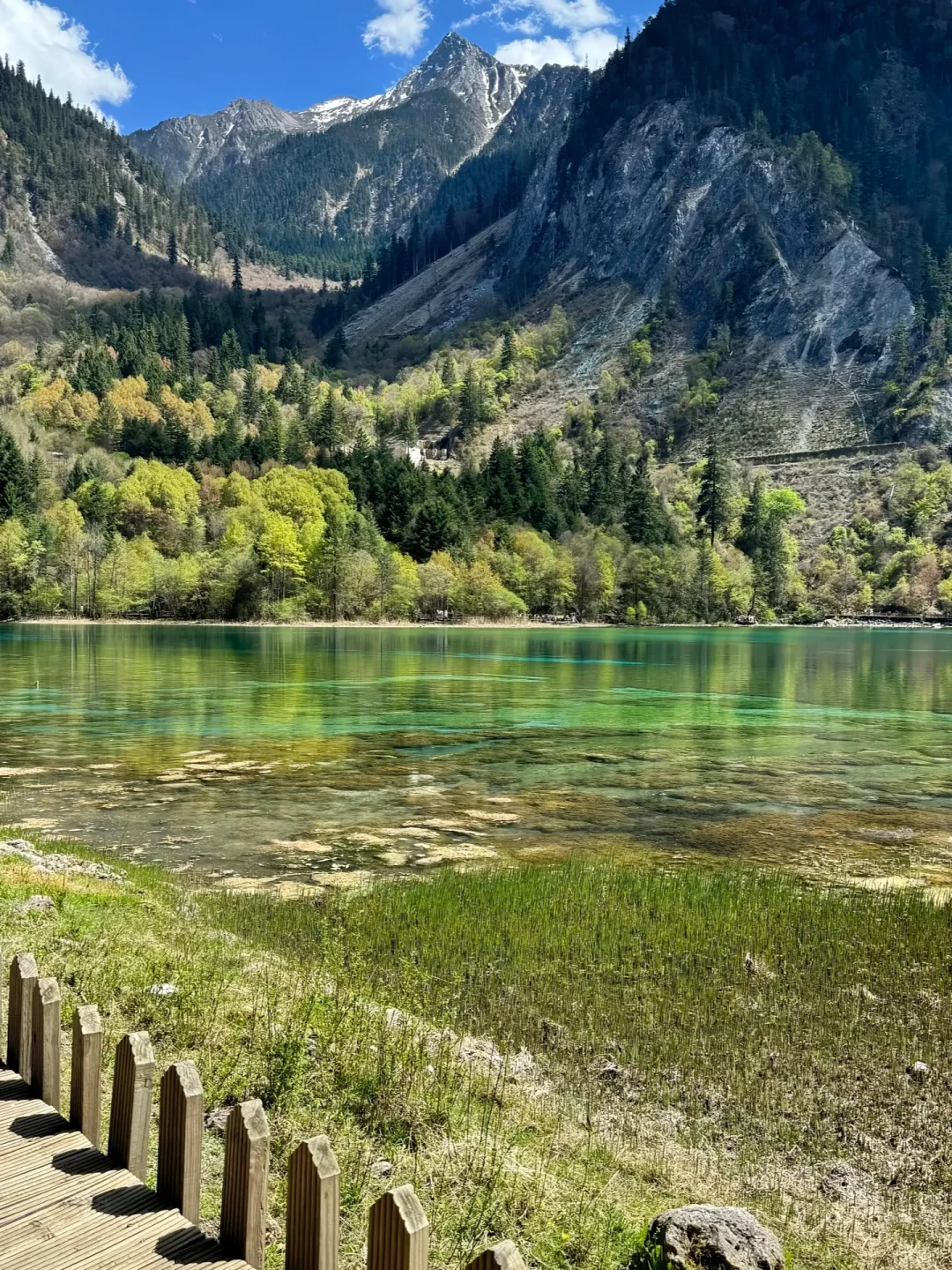 5.5📍九寨沟已回,累吐啦😅我来说点大实话……