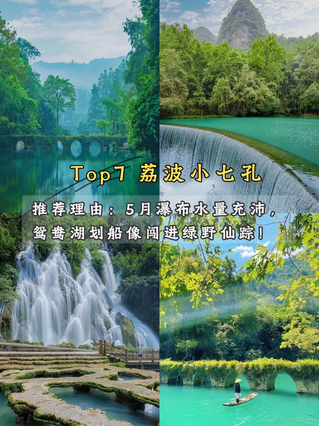 🌿 五月限定美景!学生党也能冲!