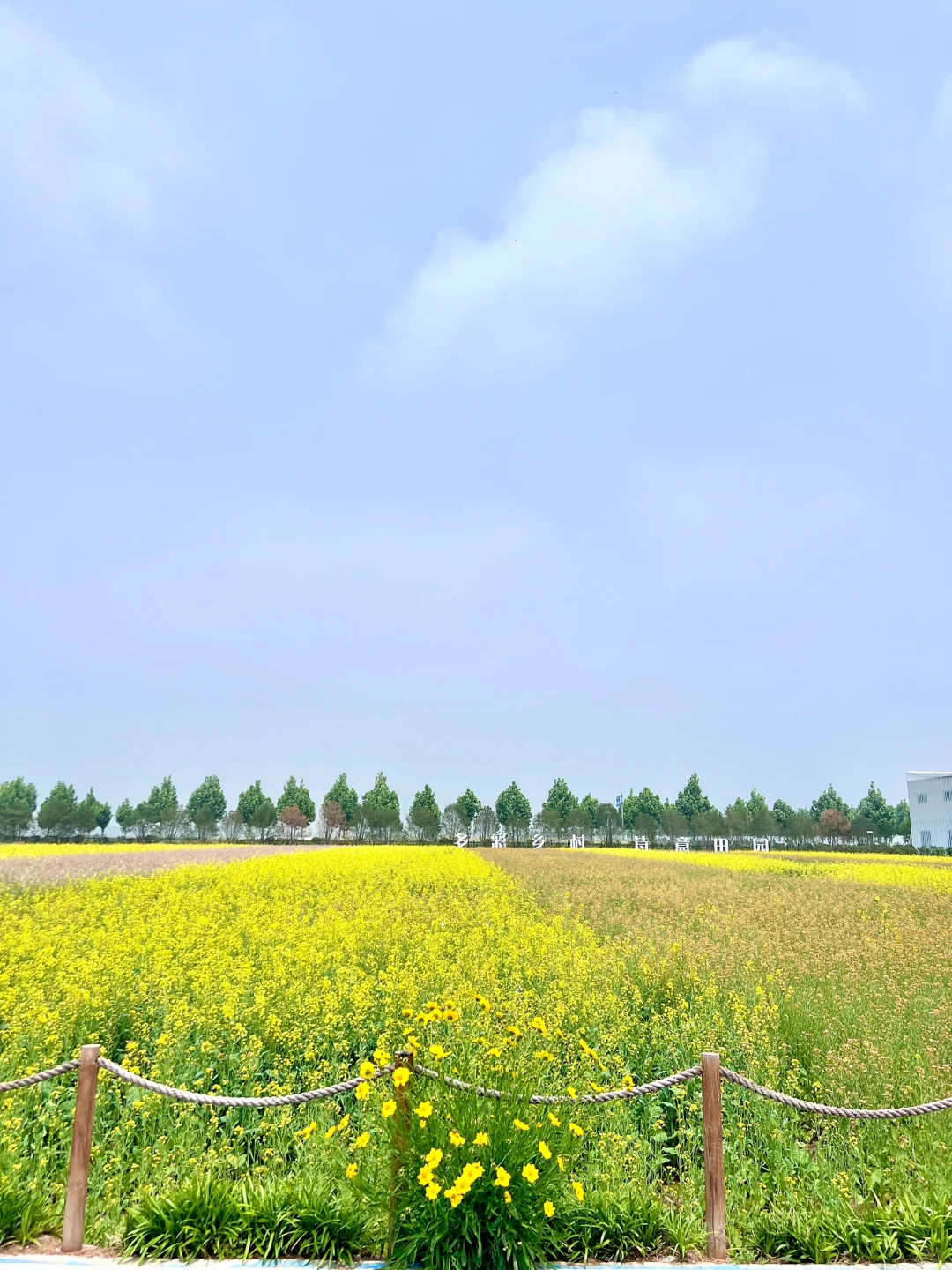 没错是在临沂！没有出国！！💐