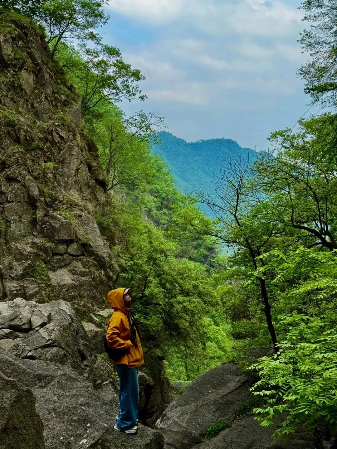 洛阳白云山📍|超全旅游攻略‼️