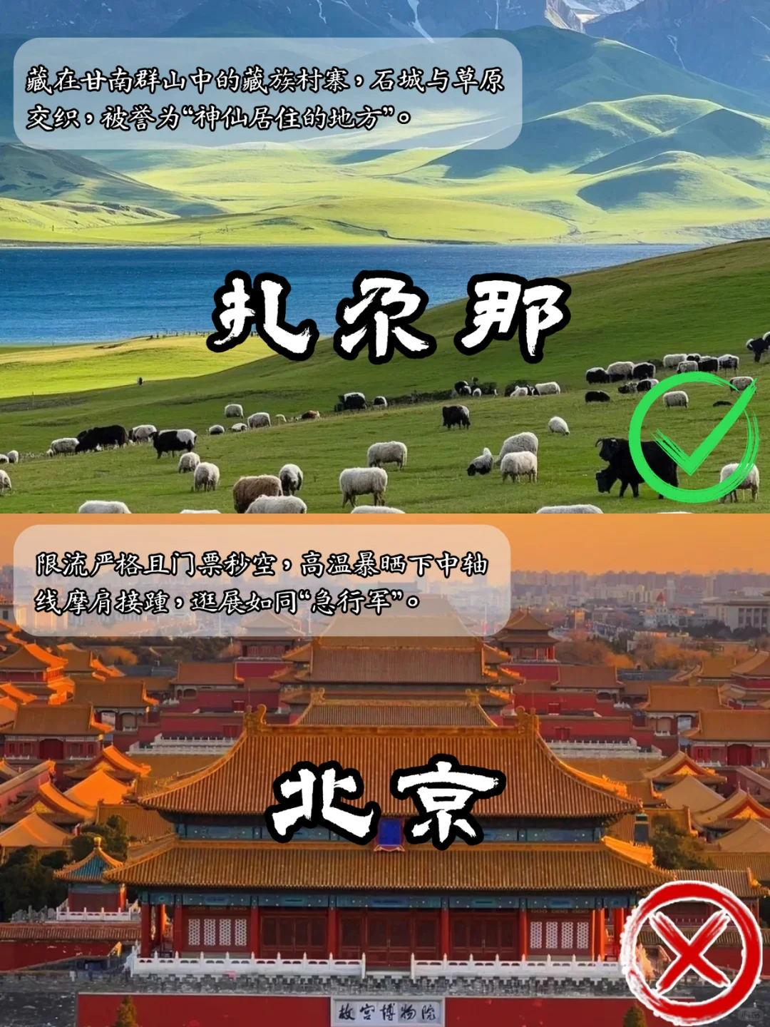 🌿 端午假期去哪玩？人少景美VS人从众