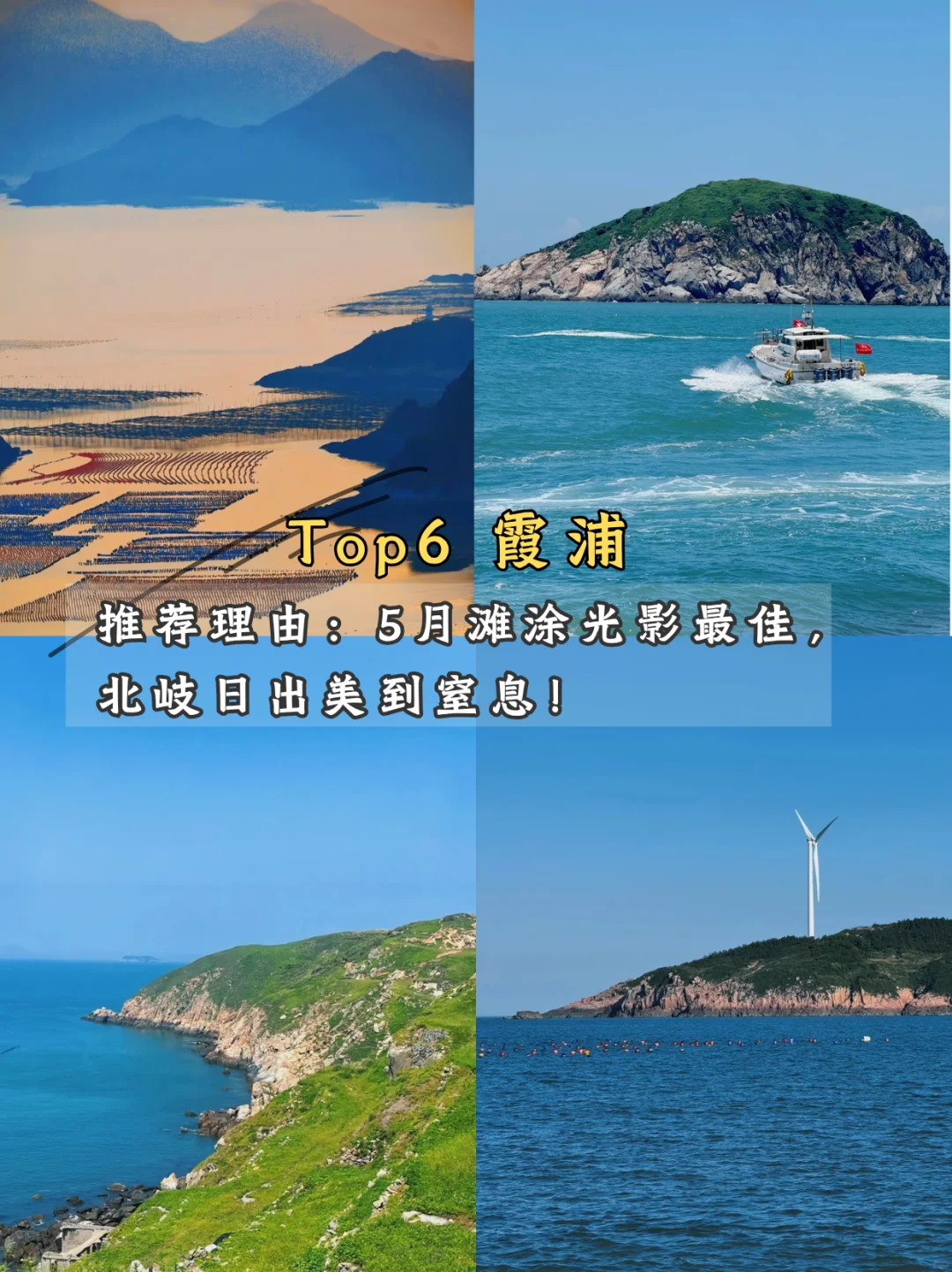 🌿 五月限定美景!学生党也能冲!