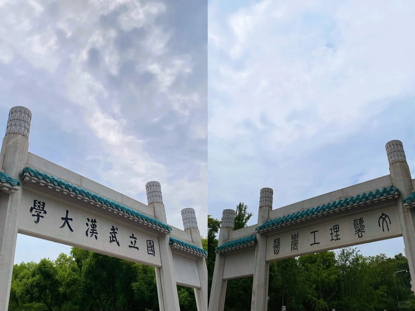 半日特种兵游武大-东湖💜