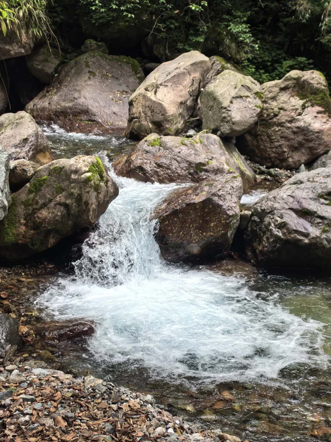 溜达日志|大邑大飞水：山野瀑布好清幽