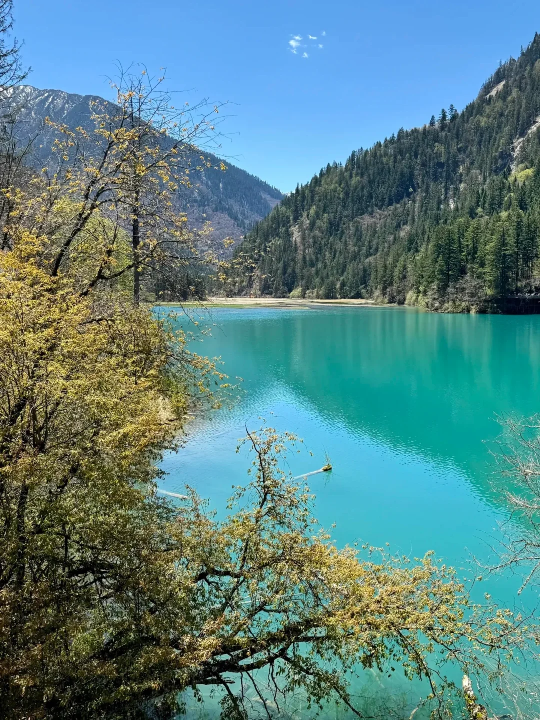 5.5📍九寨沟已回,累吐啦😅我来说点大实话……