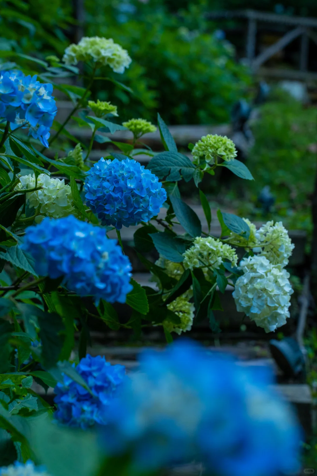南华山神凤文化景区一日游旅游攻略
