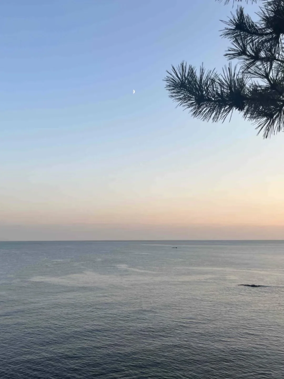 大连，真的会奖励每一个认真做攻略的人！