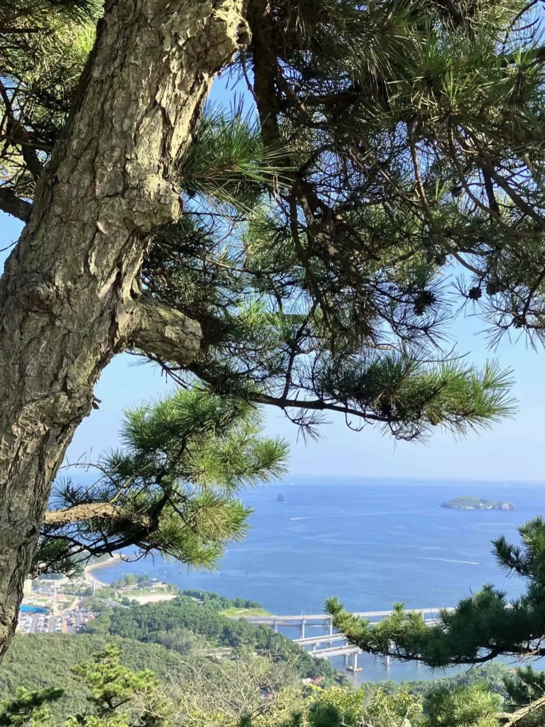 大连，真的会奖励每一个认真做攻略的人！