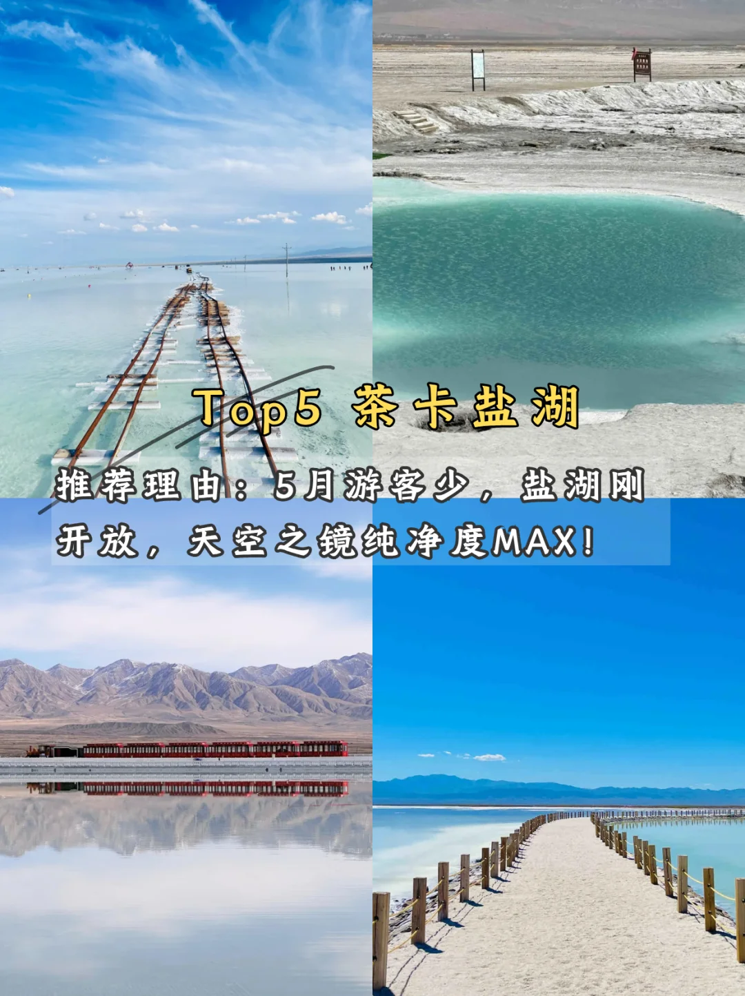 🌿 五月限定美景!学生党也能冲!