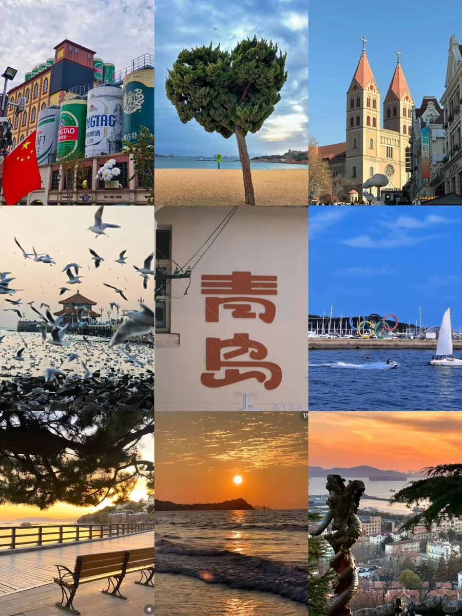 毕业旅行🎓青岛-烟台-威海 6天 人均 800