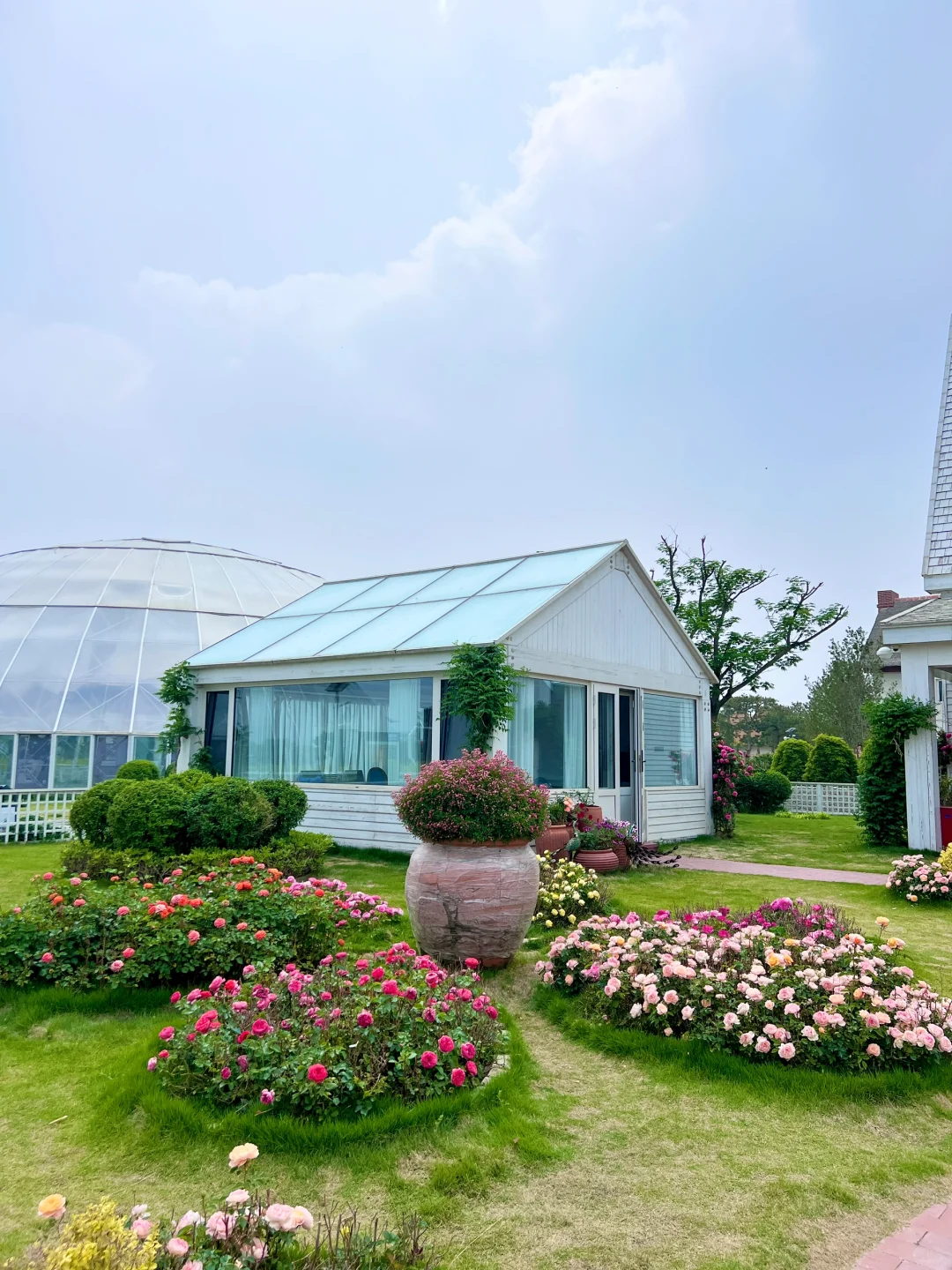 没错是在临沂！没有出国！！💐