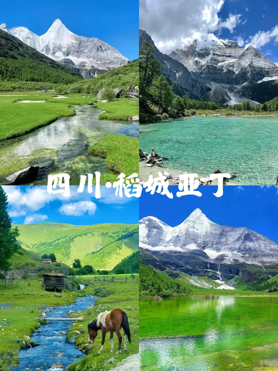 国内顶级景区⛰️你都去过哪里呢？