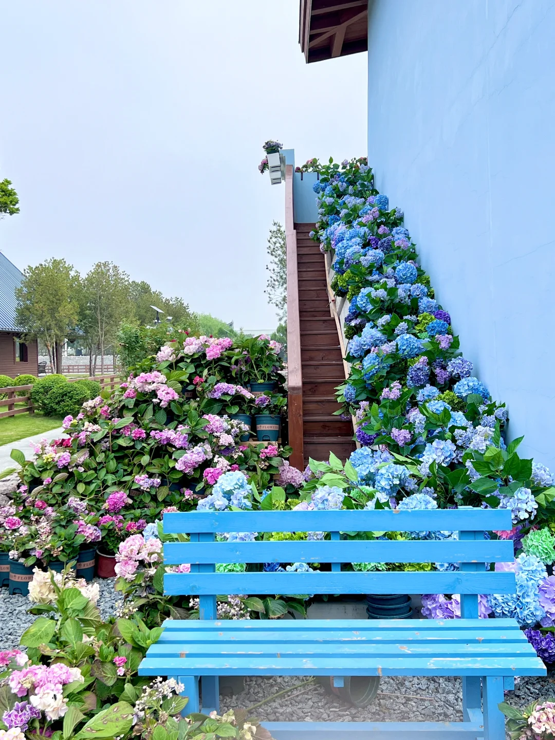 没错是在临沂！没有出国！！💐