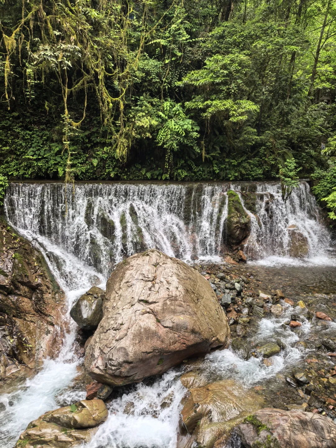 溜达日志|大邑大飞水：山野瀑布好清幽
