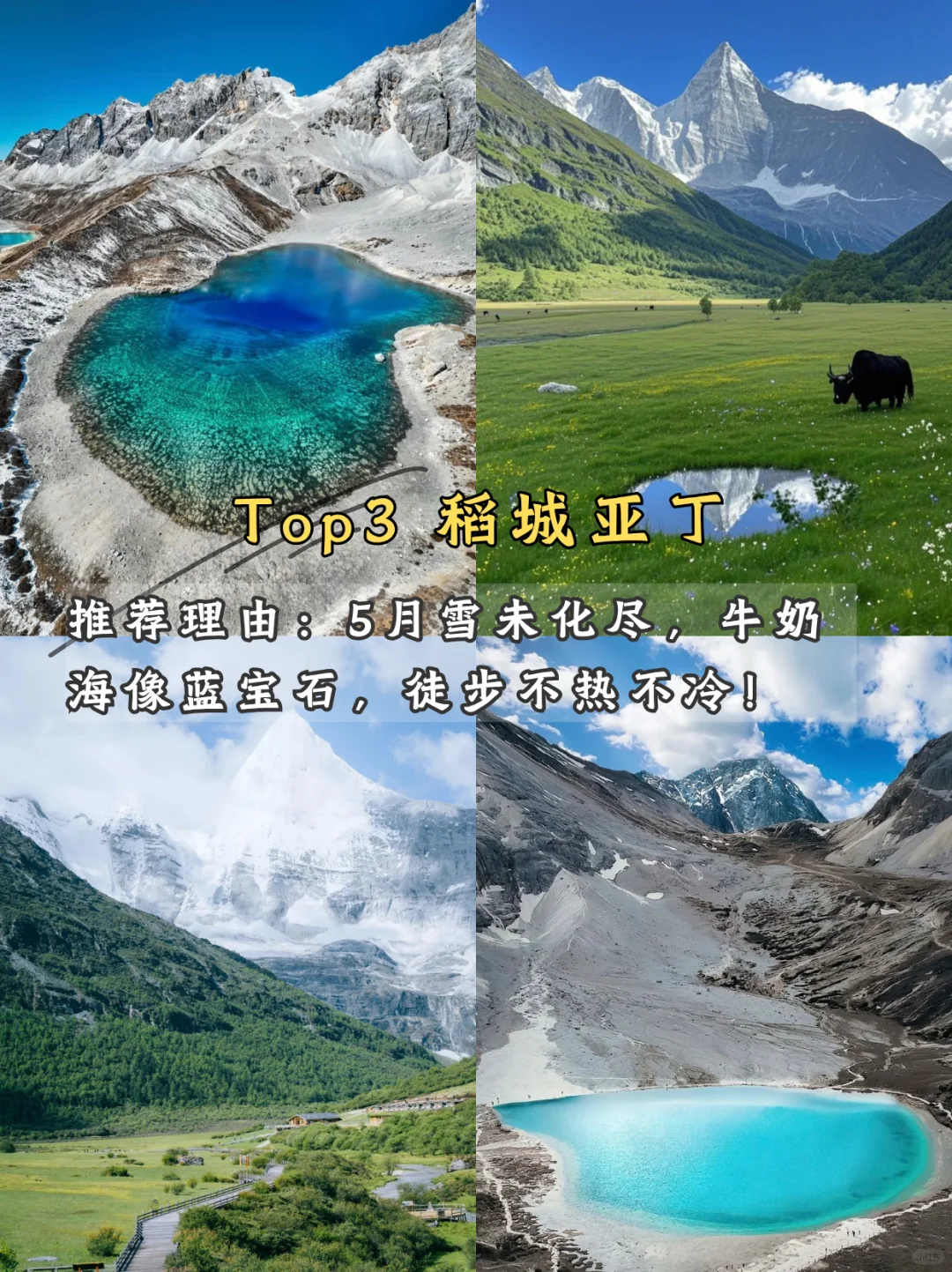 🌿 五月限定美景!学生党也能冲!