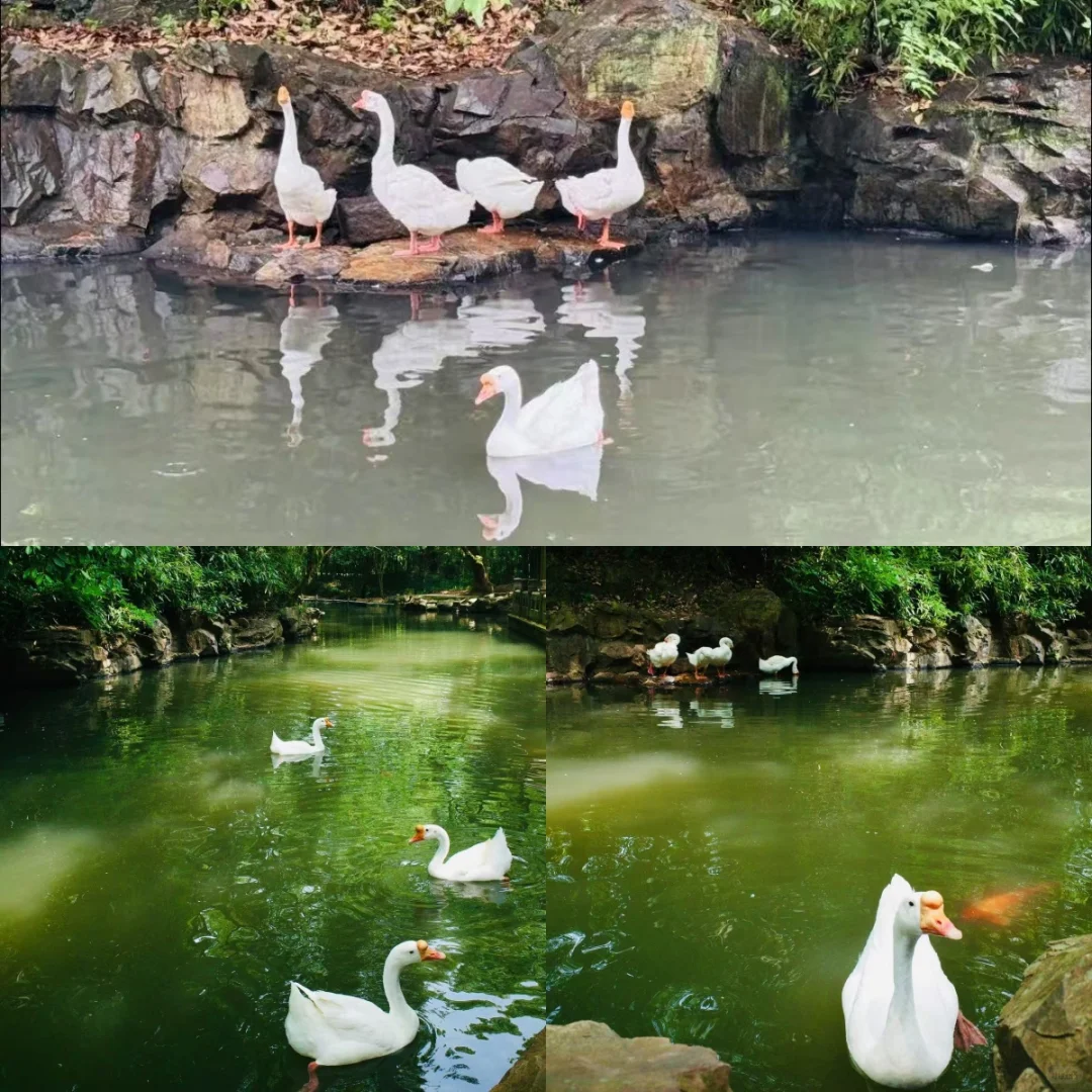 兰亭风景区 | 一起走进《兰亭集序》