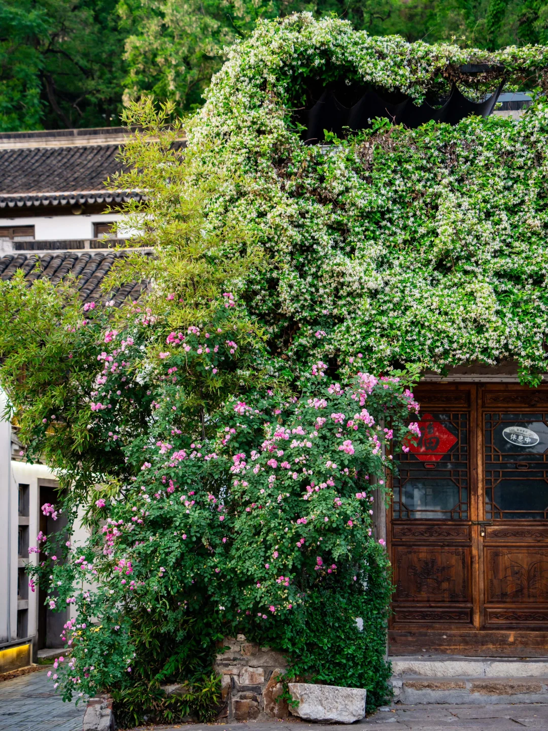推荐一个江苏真正冷门的旅行地，美哭😭我了