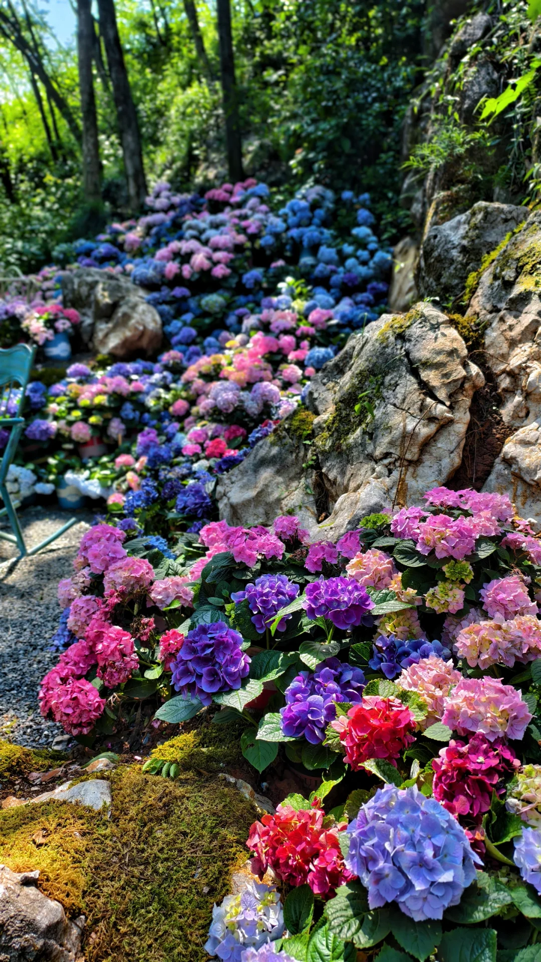 杭州你不宣传这,糊涂啊!