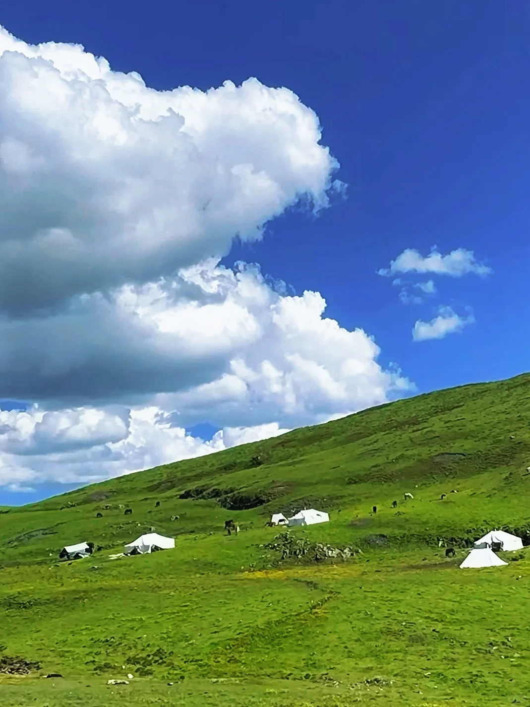 姑弄村。。。果然最漂亮的地方都是免费的