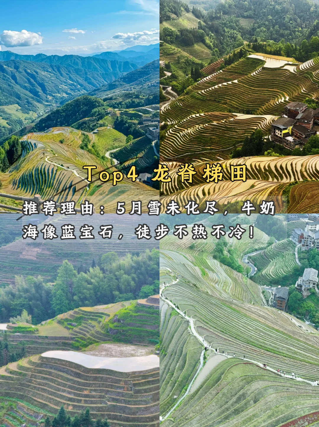🌿 五月限定美景!学生党也能冲!