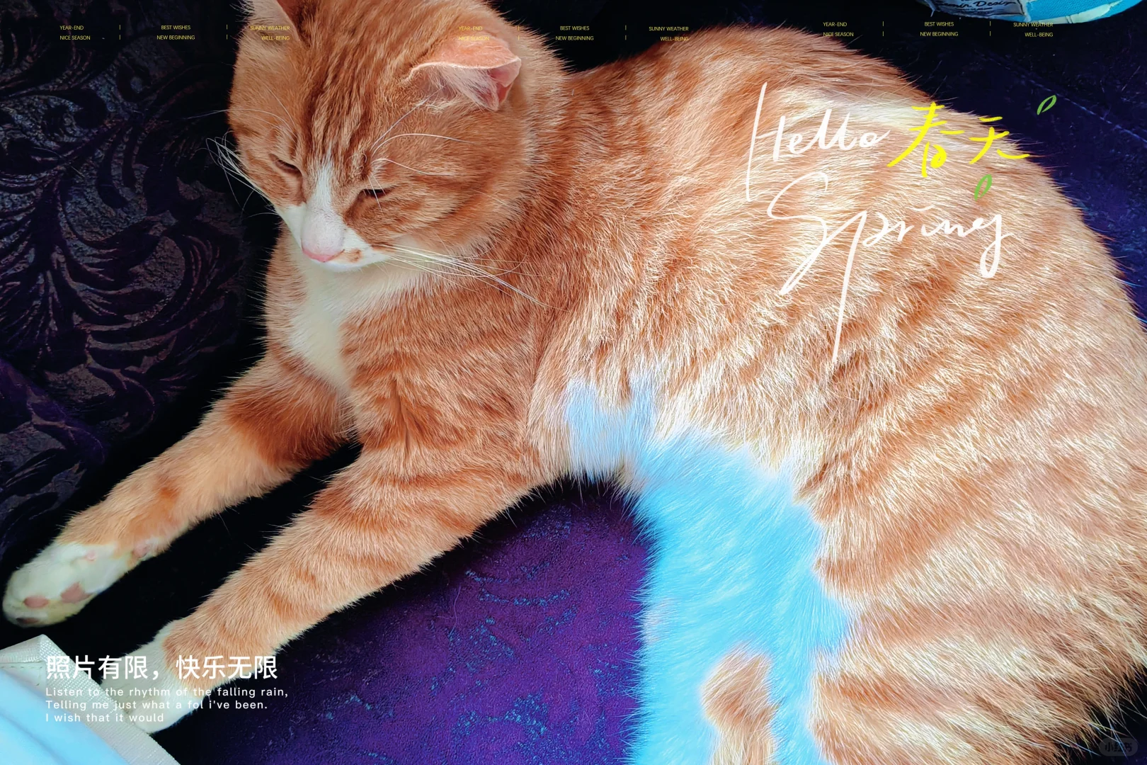 景区上班的一天