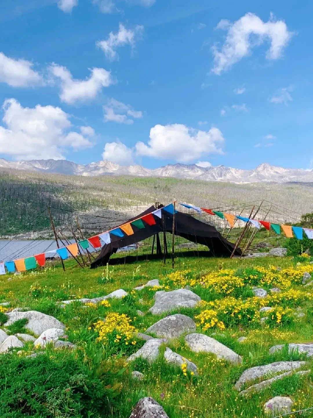 康定情歌景区。果然最漂亮的地方都是免费的