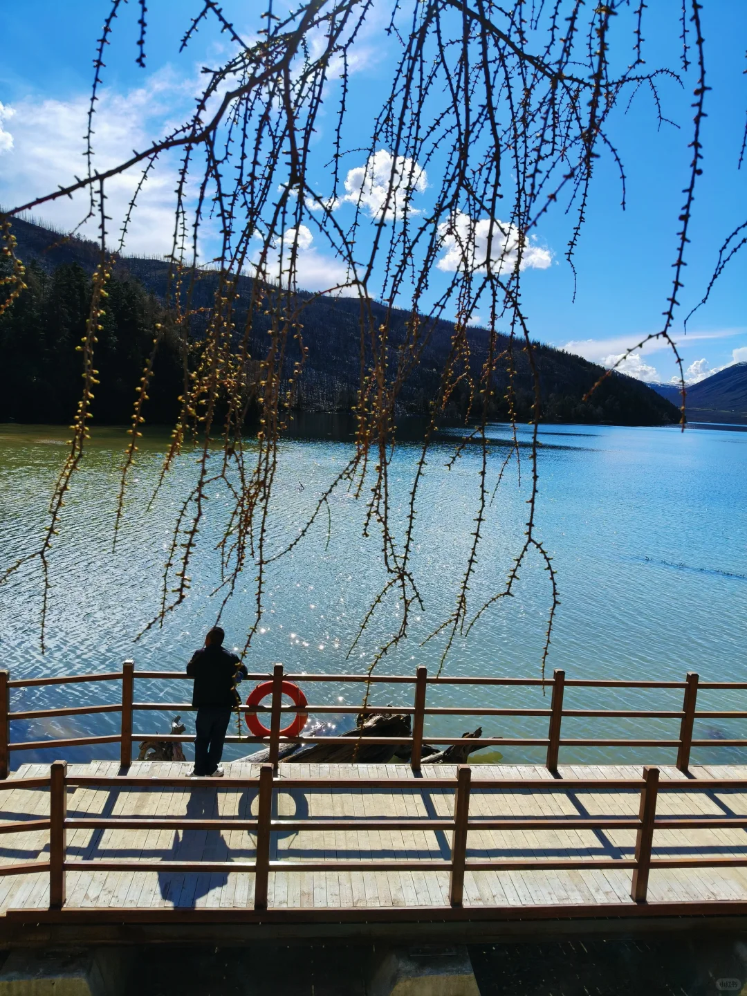 康定情歌景区。果然最漂亮的地方都是免费的