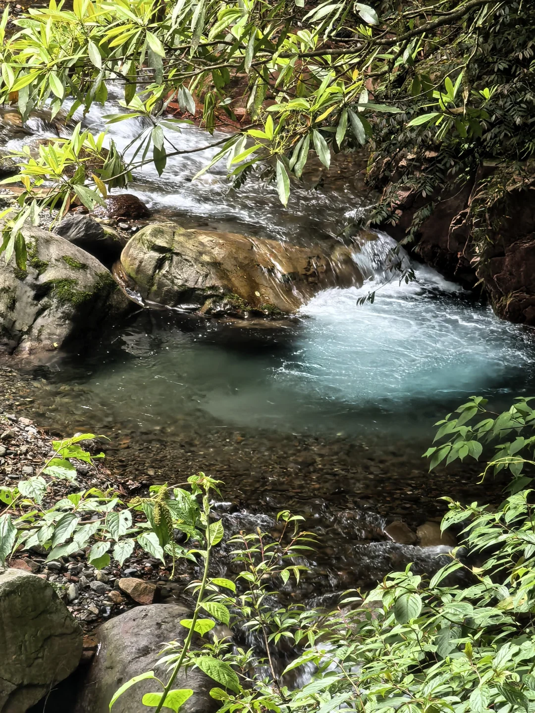 溜达日志|大邑大飞水：山野瀑布好清幽