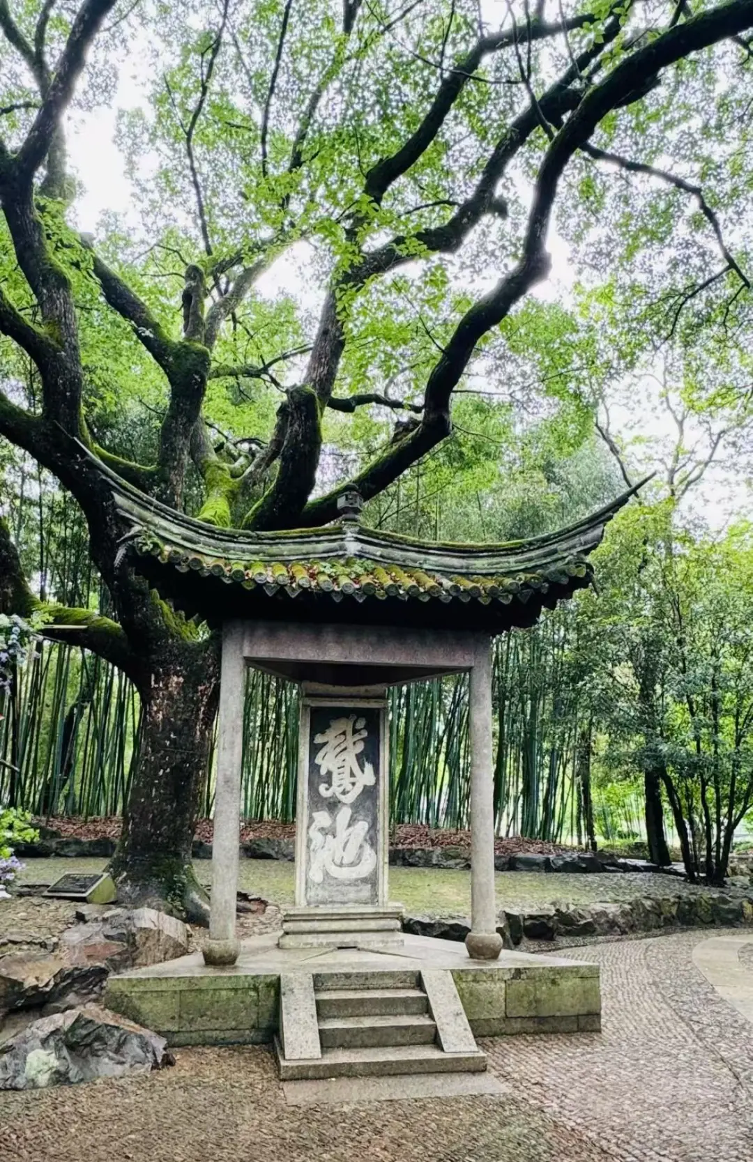 兰亭风景区 | 一起走进《兰亭集序》