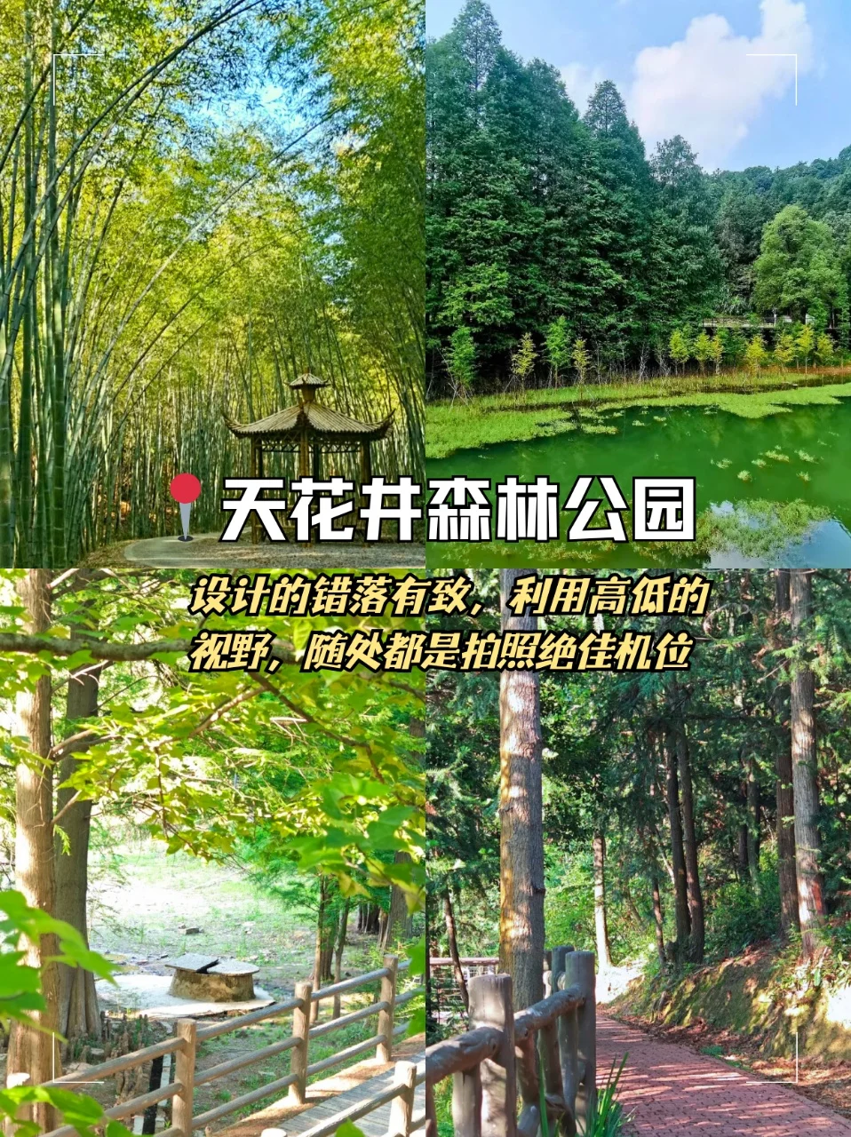 📍九江·3天2夜旅游攻略🚅