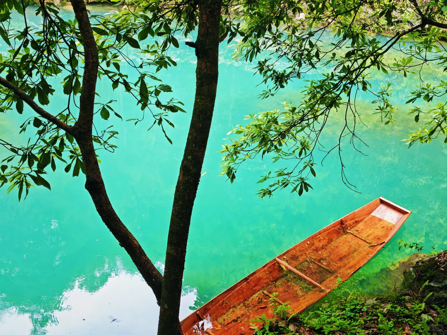 贵州景色很好，但下次不会去了