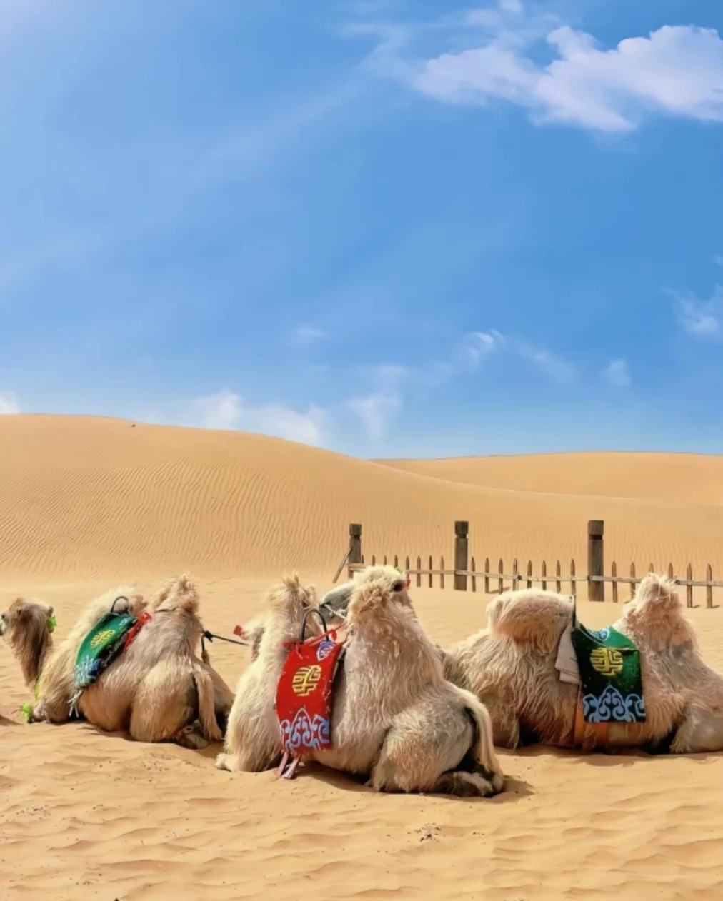 邯郸到草原+火山+沙漠四日游旅游攻略！