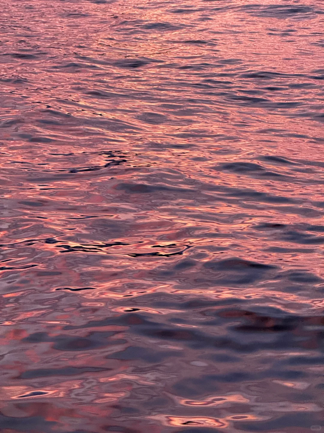 Live图的意义 极夜观鲸 画都不敢这么这么画